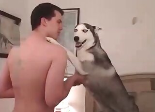 Dude shoves cock in his female dog’s pussy fucks it on the bed