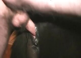 Restless soophile dude gives severe fuck to his animal in a zoo action