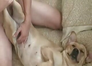 Wicked guy uses his dog and fucks it as hard as he only can