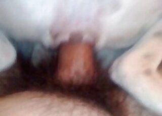 Dude takes a video of his hairy cock moving slowly in dog’s pussy