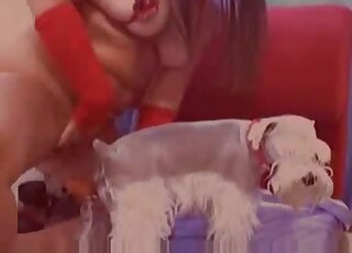 Animal-loving webcam model fucks her white dog in a kinky bid