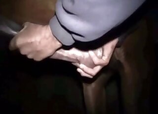 Dude earns a hot ejaculation after fiddling with throbbing horse cock