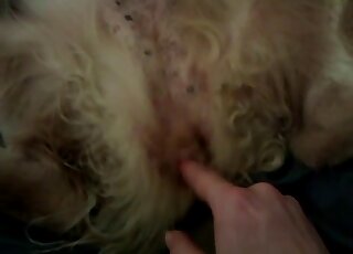 POV fingering zoo porn video with a zoophile and his sexy doggo