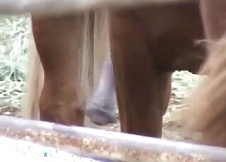 Colossal horse cock is being showcased in free XXX video here