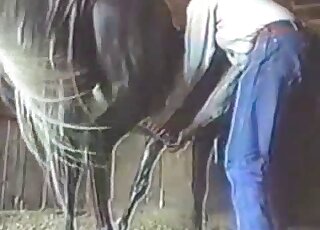 Dude in sexy denim pants is fucking a horse by pleasuring it sneakily